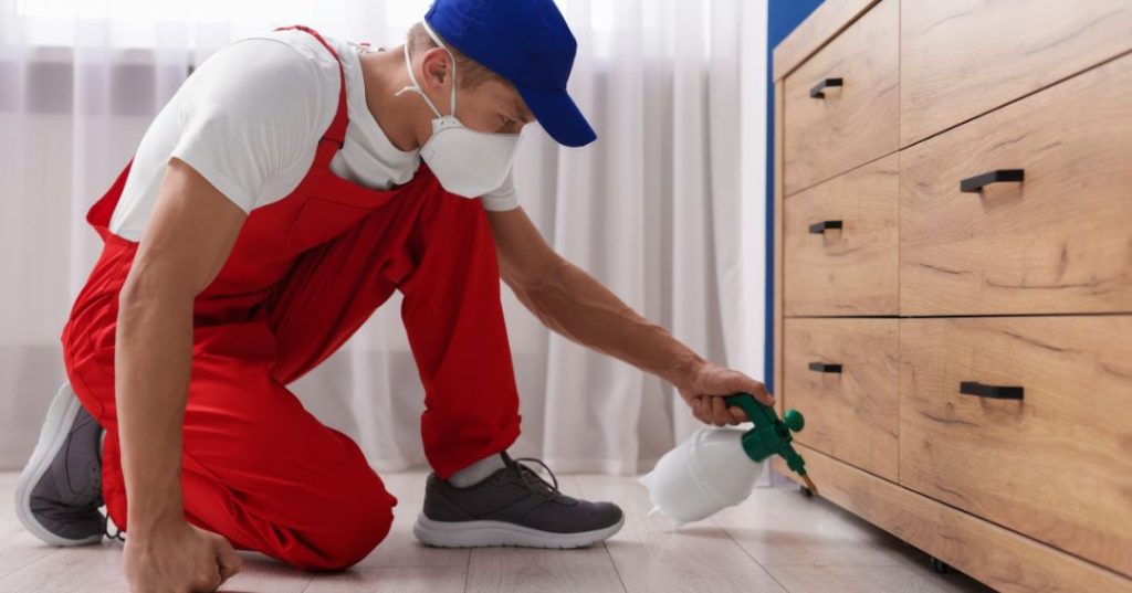 capa dedetizacao em Taubaté