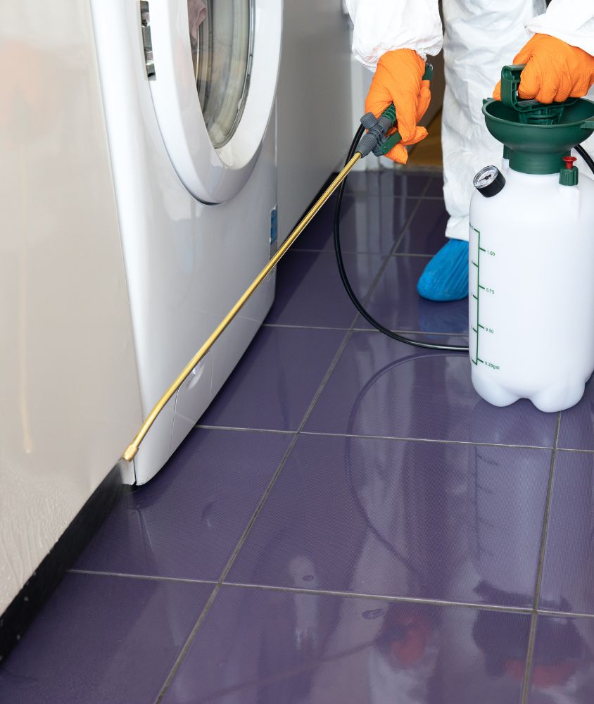 Dedetização em Taubaté