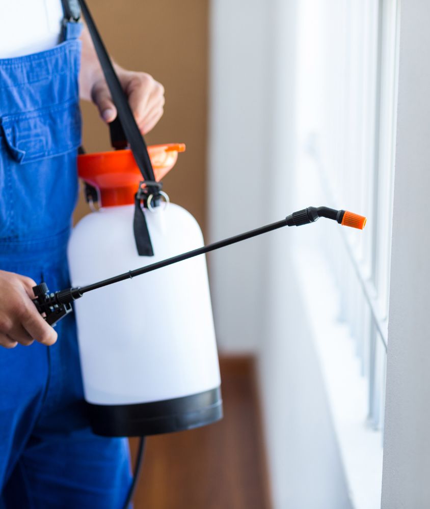 dedetizador em Taubaté