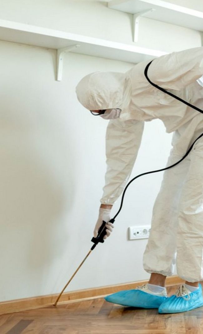 dedetizadora em Taubaté